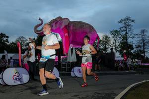 BIB: 
                            <button type="button" onclick="openModal(26529637)" class="btn btn-primary btn-sm float-right btn-popup" data-toggle="modal" data-target=".modal-high-quality">
                        <i class="fas fa-shopping-cart"></i> Add to Cart
                    </button>
                                            <button type="button" onclick="isThisMe(26529637, true)" class="btn btn-success btn-sm float-right btn-popup btn-isme hidden" data-toggle="tooltip" data-placement="bottom" title="นี่คือรูปของคุณใช่ไหม คลิกที่นี่เพื่อเอาเข้าอัลบั้ม">
                        <i class="fas fa-plus"></i> Add to album
                    </button>
                    <button type="button" onclick="isThisMe(26529637, false)" class="btn btn-warning btn-sm float-right btn-popup btn-isnotme hidden">
                        <i class="fas fa-ban"></i> Remove from album
                    </button>